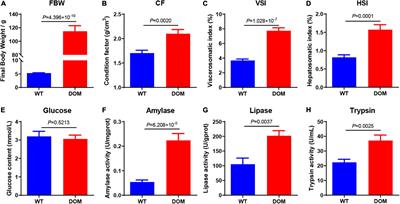 Gut Microbes Reveal Pseudomonas Medicates Ingestion Preference via Protein Utilization and Cellular Homeostasis Under Feed Domestication in Freshwater Drum, Aplodinotus grunniens